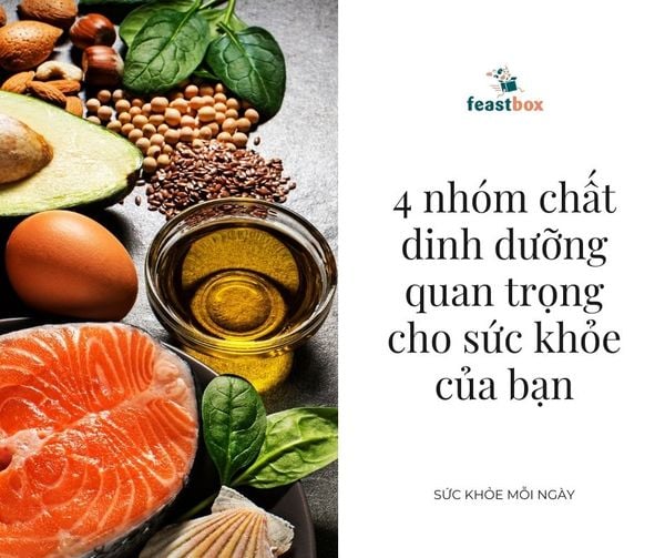Khám phá 4 loại thực phẩm thiết yếu cho sức khỏe