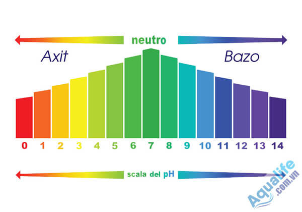 Độ ph 7 là môi trường gì? tìm hiểu về môi trường trung tính và ứng dụng trong đời sống