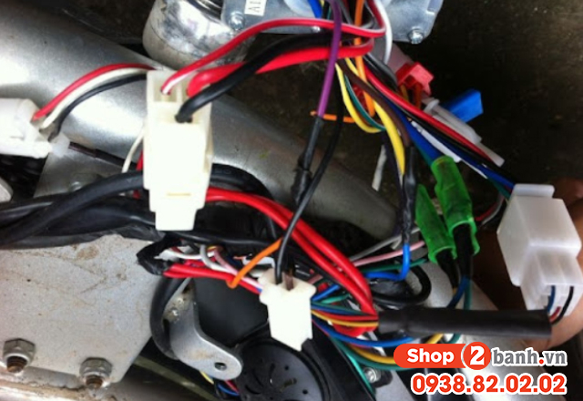 Màu dây điện xe raider