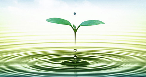 Môi trường xanh, cuộc sống xanh, hướng tới tương lai bền vững