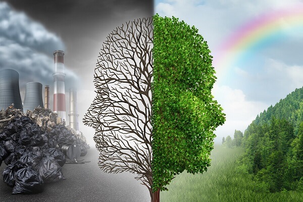 Môi trường xanh sạch đẹp là gì?