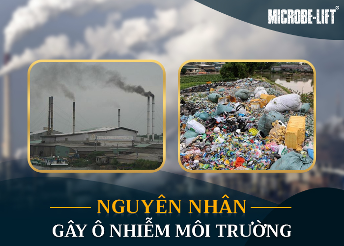 Ô nhiễm môi trường xung quanh là gì Ô nhiễm môi trường xung quanh là gì