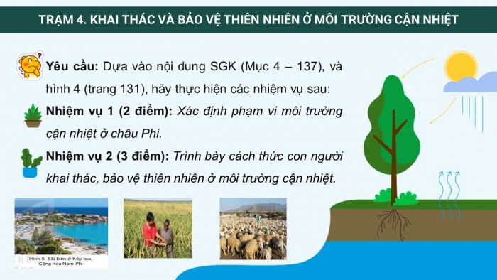 Thiên nhiên ở môi trường cận nhiệt, Đặc Điểm, tài nguyên và thách thức